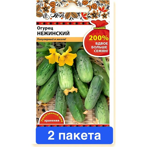 ���� ������ ������ ������� ������ 