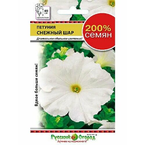 ���� ������ ������� 