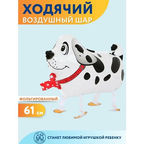 ���� ��������� ��� ������� ������ ����������, ������ �� 283 ���