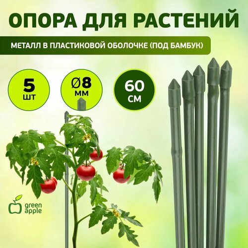 ���� ����� ��� �������� � ������ GREEN APPLE ������ GCSB-8-60 ��������� 60 c� � 8 �� 5 ��, ������ �� 205 ���