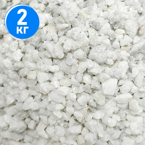 ���� ����������� ����� ��� ��������, ����������� � ��������, Zoo One, ��������� ��������, 