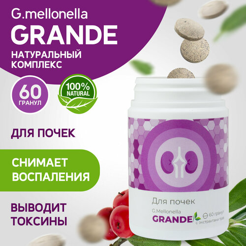 ���� ������� ����� - ��� �����, ������������� �������, ��������� ����� � ������, �� ������ 60 ������., ������ �� 703 ���