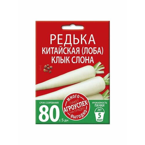 ���� ������ ���� ����� ��������� (����), ������ �����-�������10�, ������ �� 198 ���