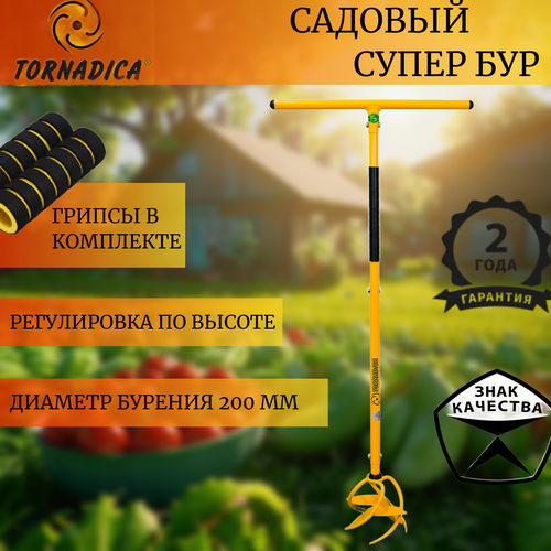 ���� ��� ������� ��������� ����� ��� � ������� ������� ��������, ������ �� 2650 ���