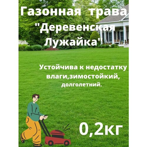 ���� ������ 