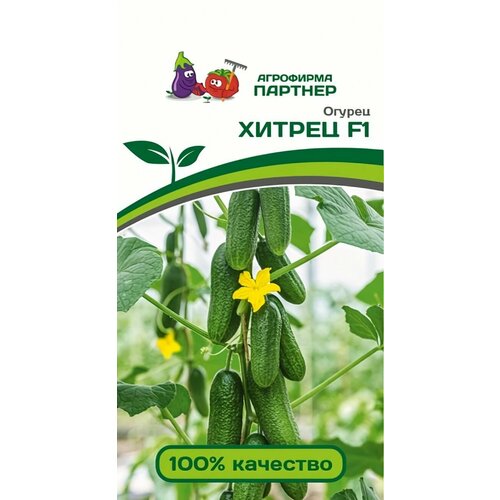 ���� ������ ������ ��������� ������� 