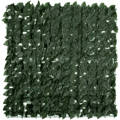 ���� ����� ��� ������������� ������ 