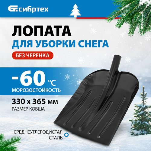      61531,  : 36.5x33 , : 36.5 ,   791 