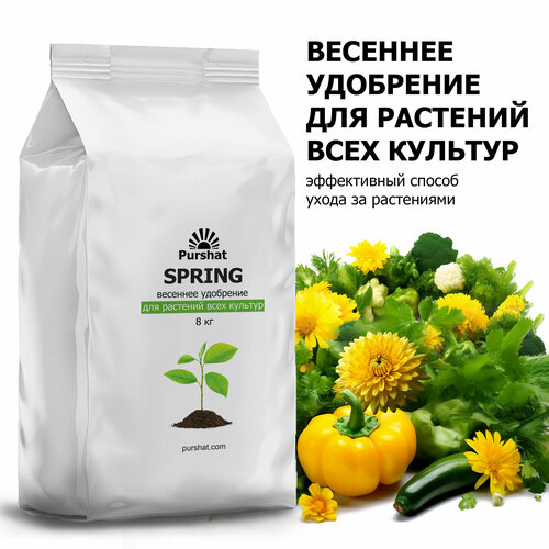  -       8      ,   1579 