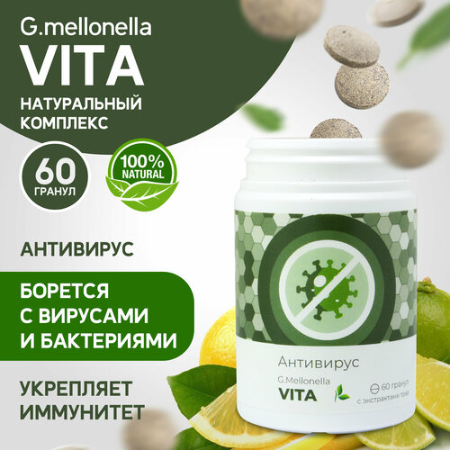 ���� ������� ���� - �������� �� ������ � ��������, ��� ����������, ������������ ���� � ��� 60 ������., ������ �� 642 ���