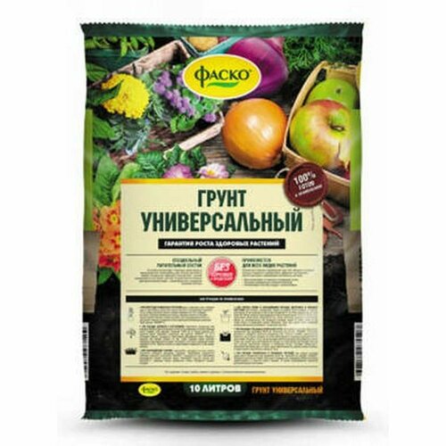 ���� ����� ����� ������������� 10� �����, ������ �� 531 ���