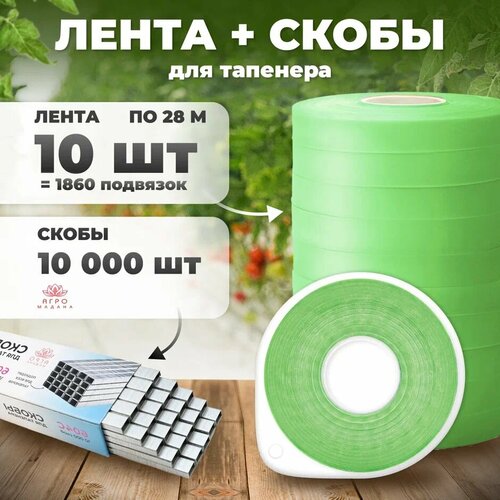     /  /       10  28 +  10.000 ,   729 