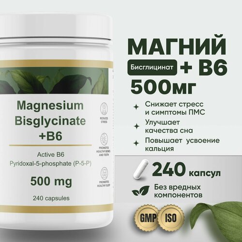 ���� ������ ����� ����������� 500 �� � �������� ��������� B6 (p-5-p) 240 ������ Restartbio magnesium chelate bisglycinate b6 �� ������� ����������, ������ �� 1870 ���