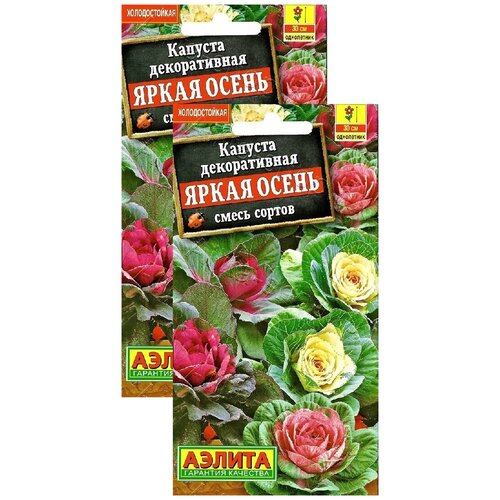 ���� ������� ������������ ����� �����, ����� ������ (0,1 �), 2 ������, ������ �� 249 ���