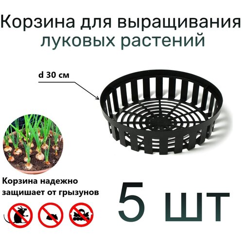 ���� ���� ��� ������� � �������� ���������� ��������, ������ �� 697 ���