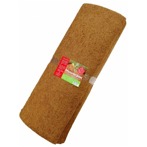  ,  ,  100x1000  , 5.9 , 5.7 ,   5100 