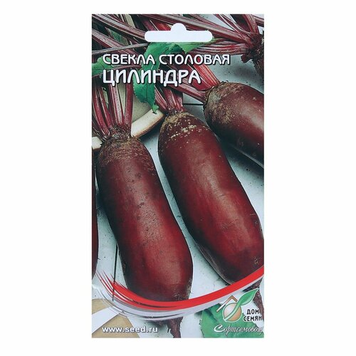 ���� ������ ������ 