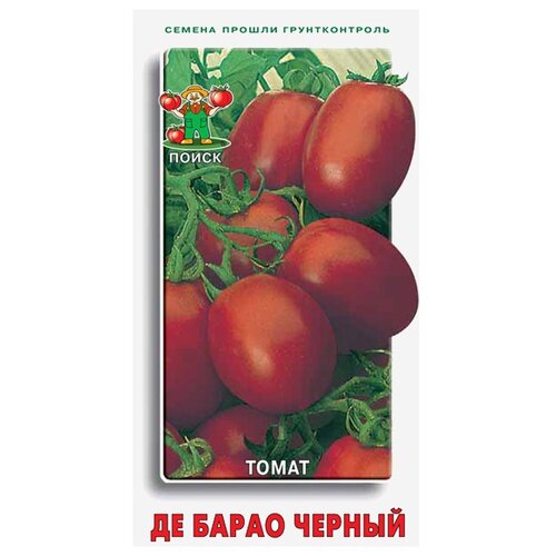 ���� ������ ����� ����� �� ����� ������ 0.1 �, ������ �� 66 ���