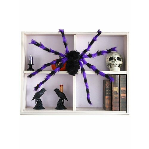 ���� ���������� �������� ���� 75 �� �������� ����������, ������ �� 1080 ���