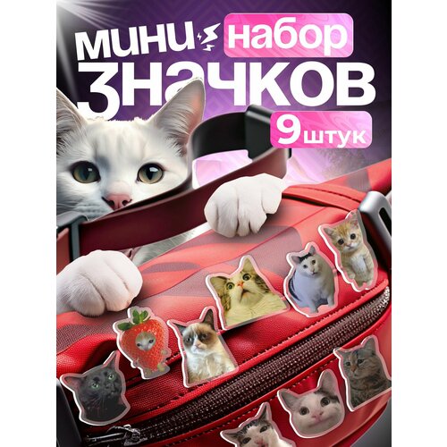 ���� ������ �� ������ ����� ������ ����, ������ �� 489 ���