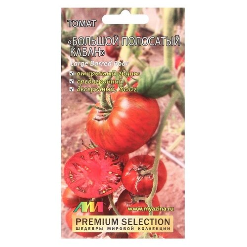 ���� ������ ������ �.�. ����� ������� ��������� ����� 5 ��, ������ �� 98 ���