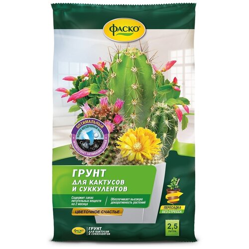 ���� ����� ��� �������� ����� ��������� ������� 2,5�, ������ �� 284 ���