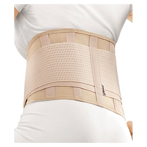 ���� ������ Orlett IBS-2004, ������ L, ���� �������������, ������ 20 ��, �������, ������ �� 6286 ���