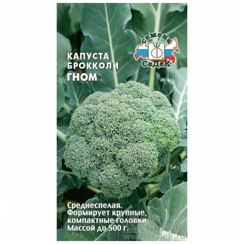 ���� ������� �������� ����, ������ �� 47 ���