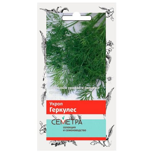 ���� ������ ����� ������� ����� �������� 3 �, ������ �� 497 ���