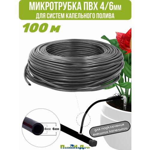 ���� ������(�����) ��� 4/6�� ��� ������ ���������� ������ (����� 100 �), ������ �� 2890 ���