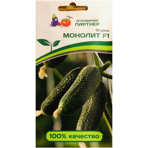 ���� ������ ������ 