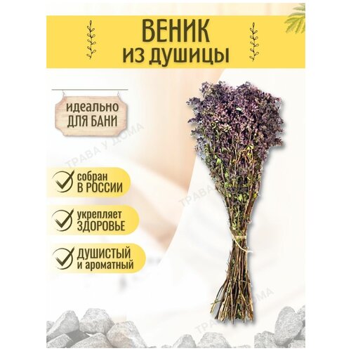 ���� ������ ��� ���� �� ������ 1 ��, ������ �� 310 ���