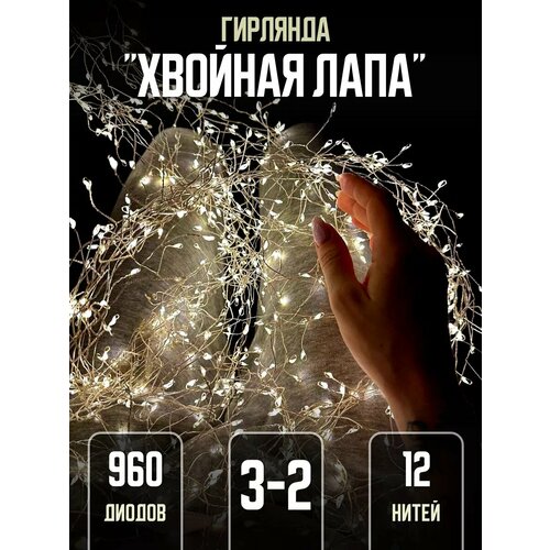 ���� ��������-����� 