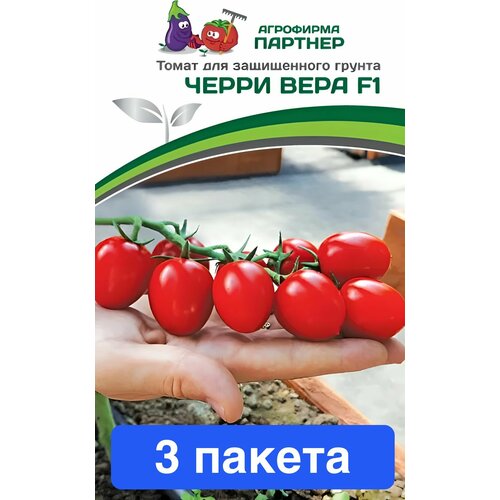 ���� ������ ������ ��������� ������� 