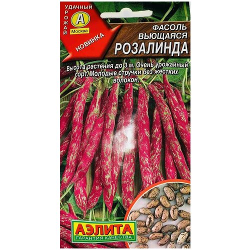 ���� ������ �������� 