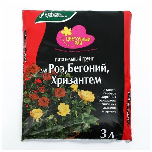 ���� ����� ��� ���, ������� � ��������� 