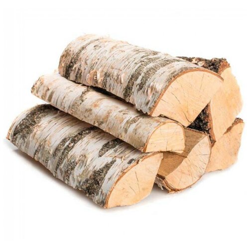 ���� ����� 25 �� ��������� � �������� ������, ������ �� 1555 ���