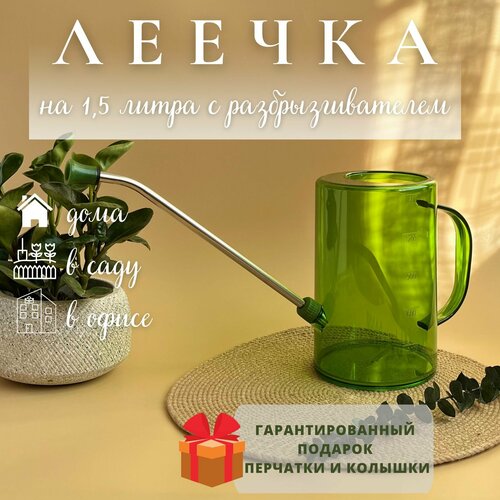 ���� ����� ��� ������ 1,5 �����, ������ �� 950 ���