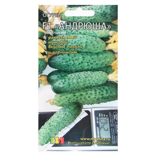 ���� ������ ������ 