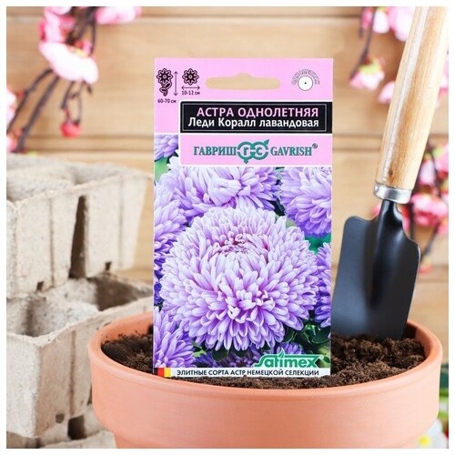 ���� ����� ���� ����� ����������, ����������, ������ �� 59 ���