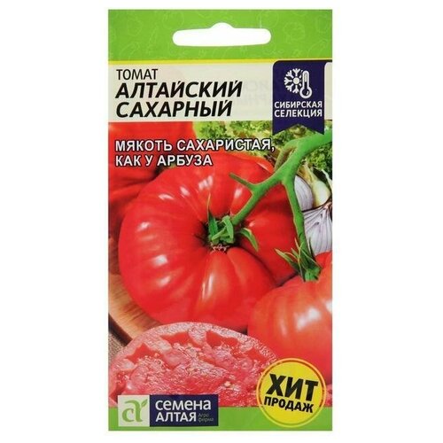 ���� ������ ����� 