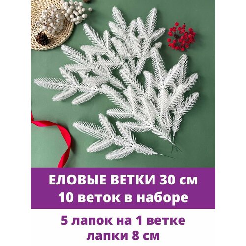 ���� ������ ����� � ����� ������������� ��� ������, 5 ����� �� �����, ����� 30 ��, 10 �����, ������ �� 590 ���