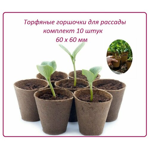 ���� �������� �������� ��� �������, 10 ����, d 60 � h 60 ��, ����� ����������� ��� ������� ����� ������, ������ � ��������, ������ �� 129 ���