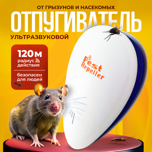 ���� ������������ �����, �������, ����, ��������� ��������� ��������������, ������ �� 595 ���