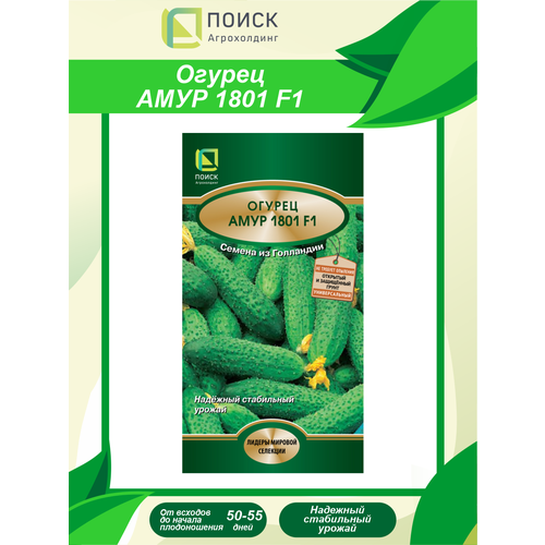 ���� ������ ������ ���� 1801 F1 10 ��., ������ �� 143 ���