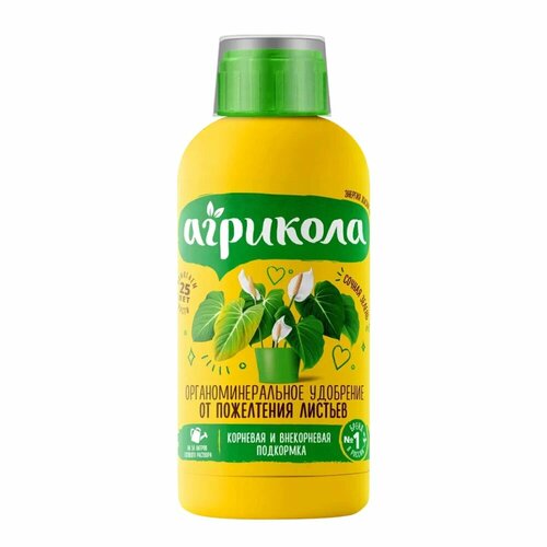 ���� ��������� �� ���������� ������� �������� 250 ��, ������ �� 535 ���