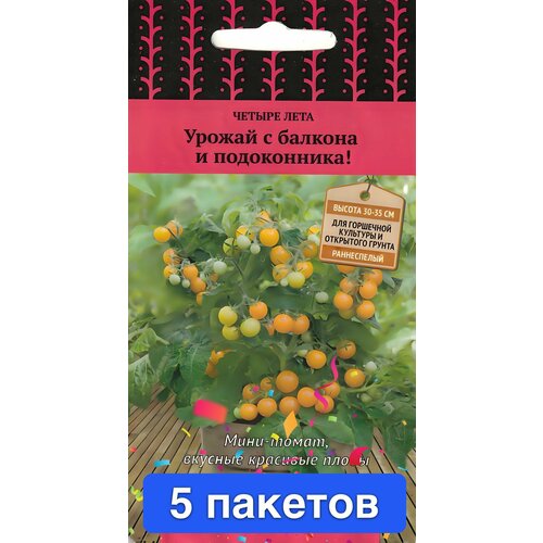 ���� ������ ������ ����� 