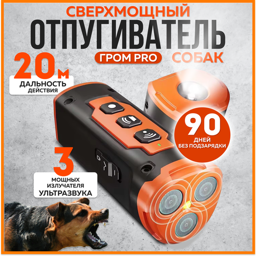 ���� �������������� ������������ ����� ���� PRO, ������ �� 2917 ���