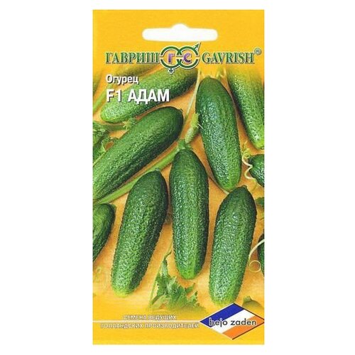 ���� ������ ������ Bejo ������ ���� F1, �������� 5 ��., ������ �� 235 ���