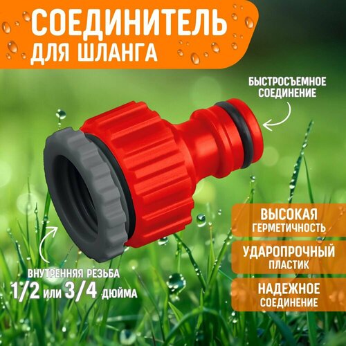 ���� ������ ��� ������ ����������� ������� � ���������� ������� 1/2 3/4 ����� �� �������������, ������ �� 179 ���